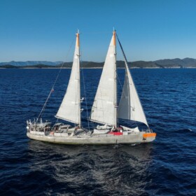 Tara, les artistes révèlent l’océan